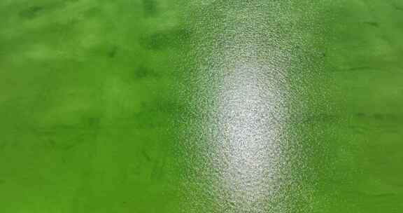察尔汗波光粼粼的绿色盐湖