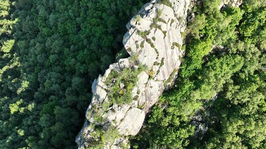 大兴安岭自然风景高山森林岩石