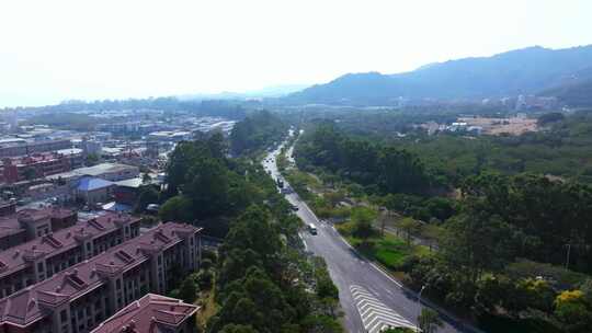 城市道路旁的建筑和绿化景观航拍