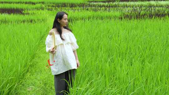 美丽乡村振兴稻田画字风吹麦浪白裙子美少女