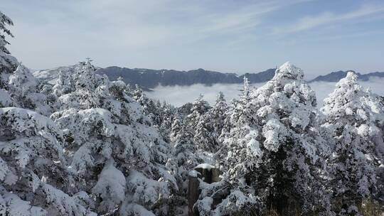航拍湖北神农架冬季冬天阳光冰雪雪松雪景