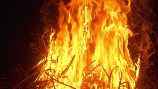 燃烧的篝火柴火木炭秸秆禁烧