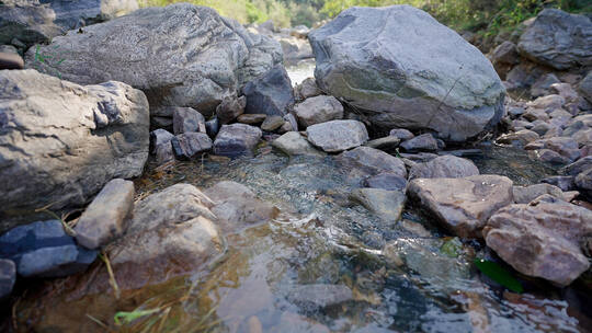 溪流清澈溪水小河流淌在山间树林灌木石缝中