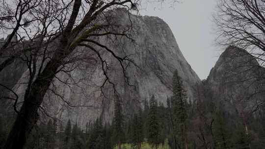 Yosemite National Pa