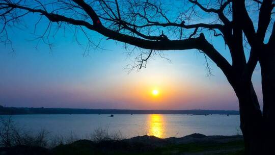 湖中夕阳下的一棵树的剪影