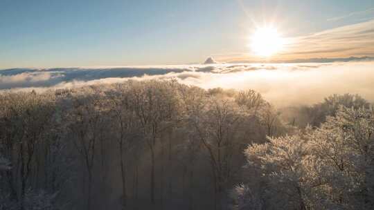 延时拍摄冬天森林雪后的日出云海