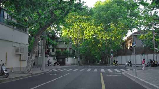 余庆路 梧桐 上海街景