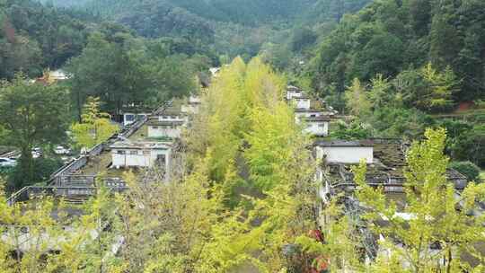 中国广东省韶关市南雄市帽子峰森林公园景区