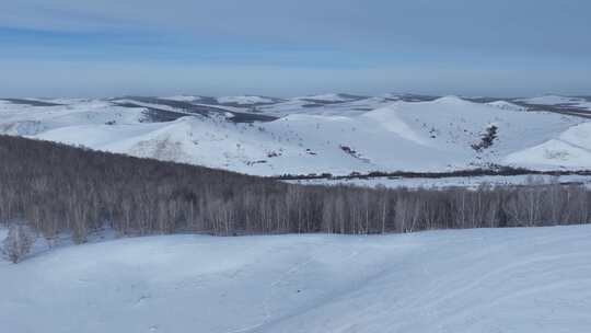 呼伦贝尔疏林雪原风光视频素材模板下载