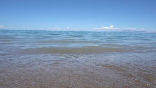 青海湖 湖边 湟鱼 旅行