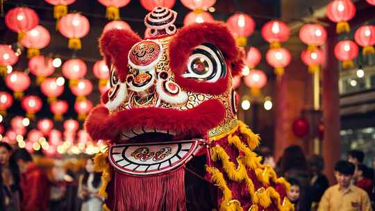中国传统文化舞龙舞狮【4K】