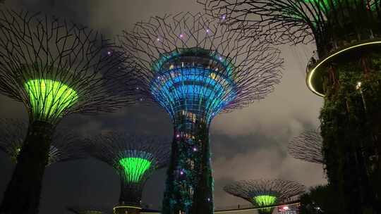 新加坡滨海湾花园夜景音乐灯光秀亚洲花坛