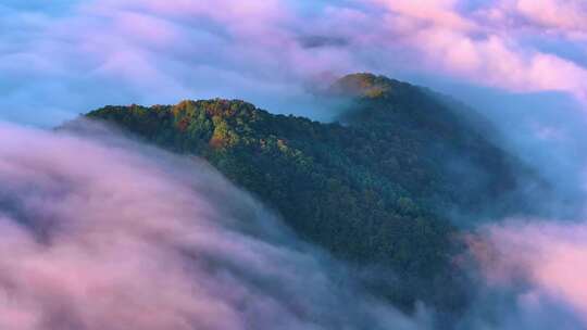 大气震撼日出云海朝阳希望片头