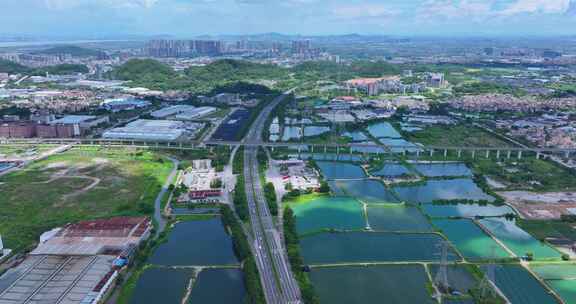 5K岭南水乡航拍桑基鱼塘大棚花卉种植