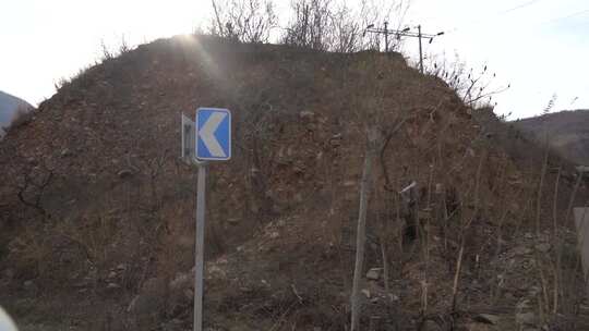 旅行 沿途 风景 公路 树