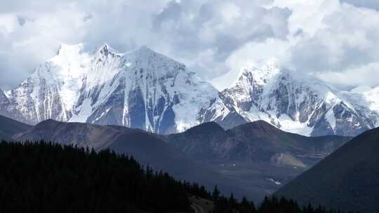 贡嘎雪山下森林中的徒步路径