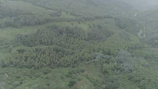 北京门头沟山地森林航拍空镜