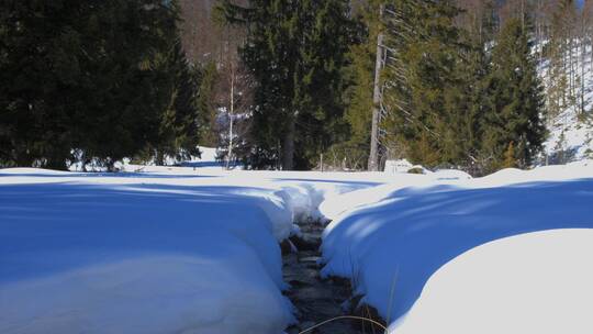 穿着雪鞋小心的走在积雪覆盖色森林小溪