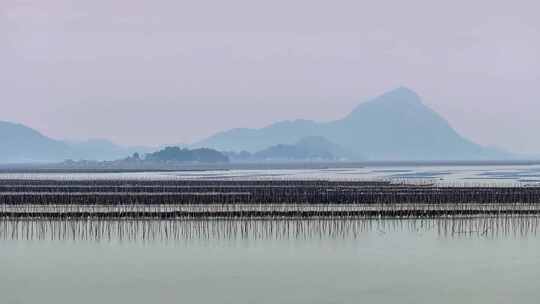 海洋养殖海带紫菜养殖业航拍福建霞浦