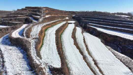 梯田航拍全景自然风景冬天下雪地形地理