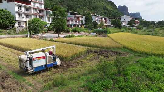 航拍遇龙河畔稻田秋收乡村振兴农业机械丰收