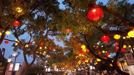 街道树上悬挂红黄灯笼夜景