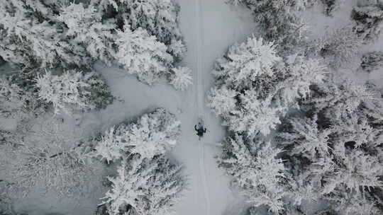 无人驾驶滑雪穿越厚厚的白雪覆盖的森林