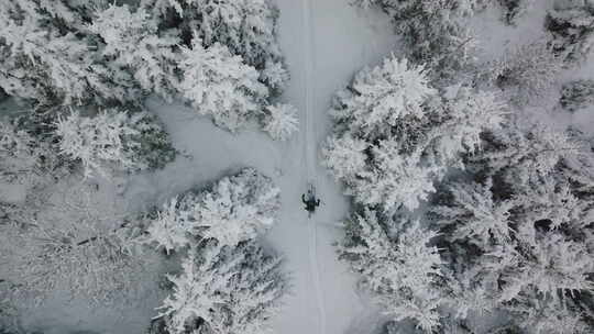无人驾驶滑雪穿越厚厚的白雪覆盖的森林视频素材模板下载
