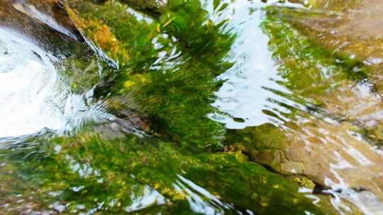 水泉水溪流中的山泉水