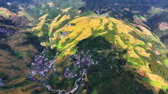 4K航拍广西龙脊梯田空镜