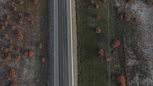 红柳，道路，航拍