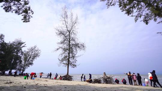 惠州赤砂滨海公园沙滩大树树根游客游玩