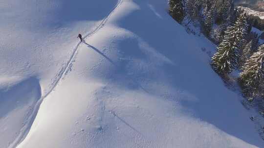 沿着小路空中越野滑雪的女人