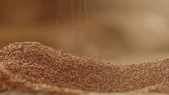 双手捧起高粱散落飞絮