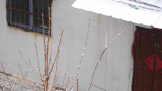 老屋平房雪景视频素材模板下载