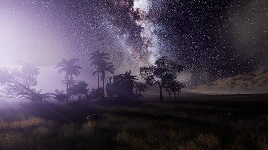 热带雨林上空的银河系