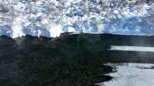 大寒时节呼伦贝尔风光湿地冰河雾凇寒雾视频素材模板下载