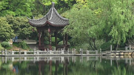 杭州拱墅区2021年半山夏天湖景 (01)