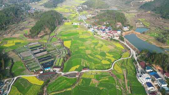 美丽乡村农业种植航拍