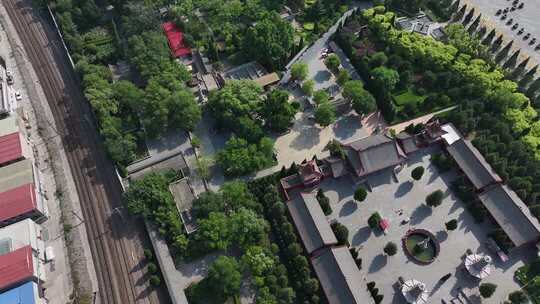 洪洞大槐树 古树