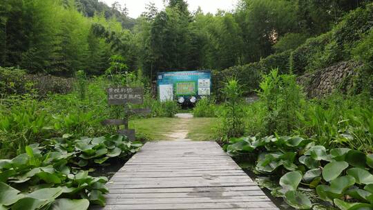 山间民宿绿野仙踪