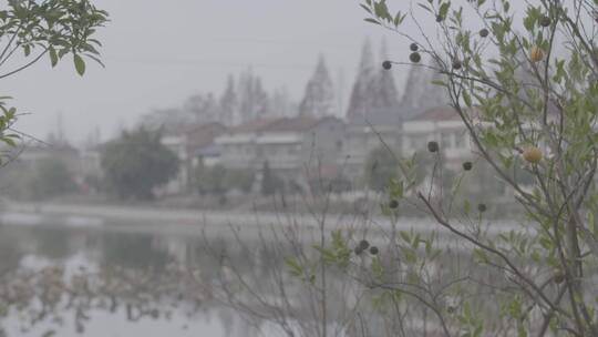 湖北农村乡下景色