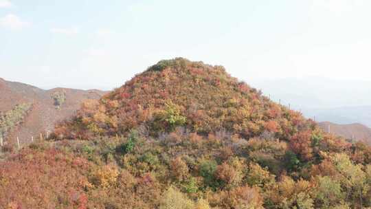 内蒙古乌兰察布林胡古塞金色秋景美景航拍