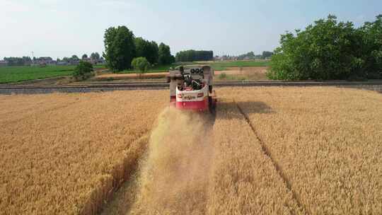 粮食丰收 三夏 联合收割机 小麦丰收