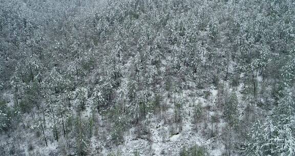 航拍大兴安岭下雪时的山林