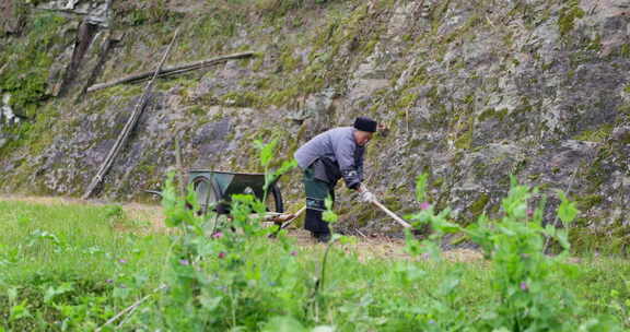 农田干活