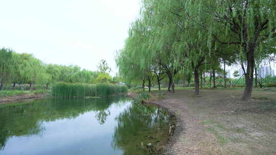 武汉光谷三路湿地公园风景