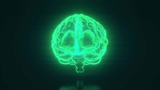 3d人体大脑器官全息图可视化环绕动画视频素材模板下载