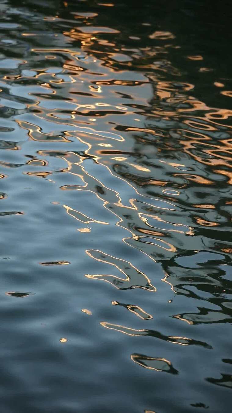 灯火映湖面波光荡金黄中秋月圆夜