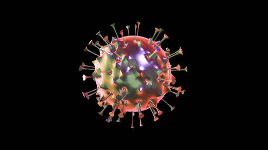 Virus冠状病毒